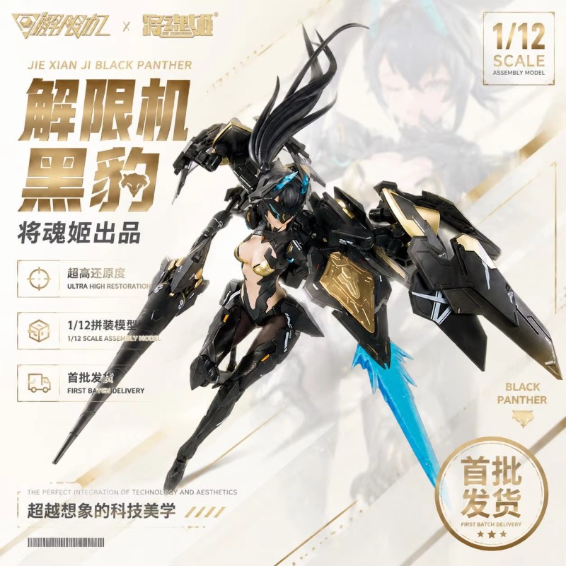 MS GENERAL Mecha Break Black P - огляд і ціна Model Kit Ms General
